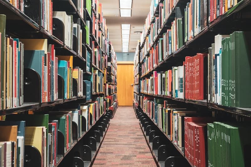 literature